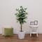5ft. Artificial Ficus Tree in White Metal Square Planter